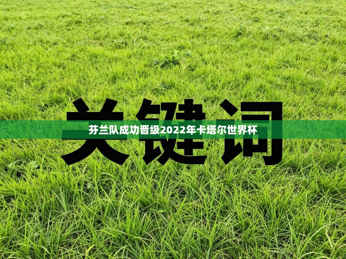 芬兰队成功晋级2022年卡塔尔世界杯