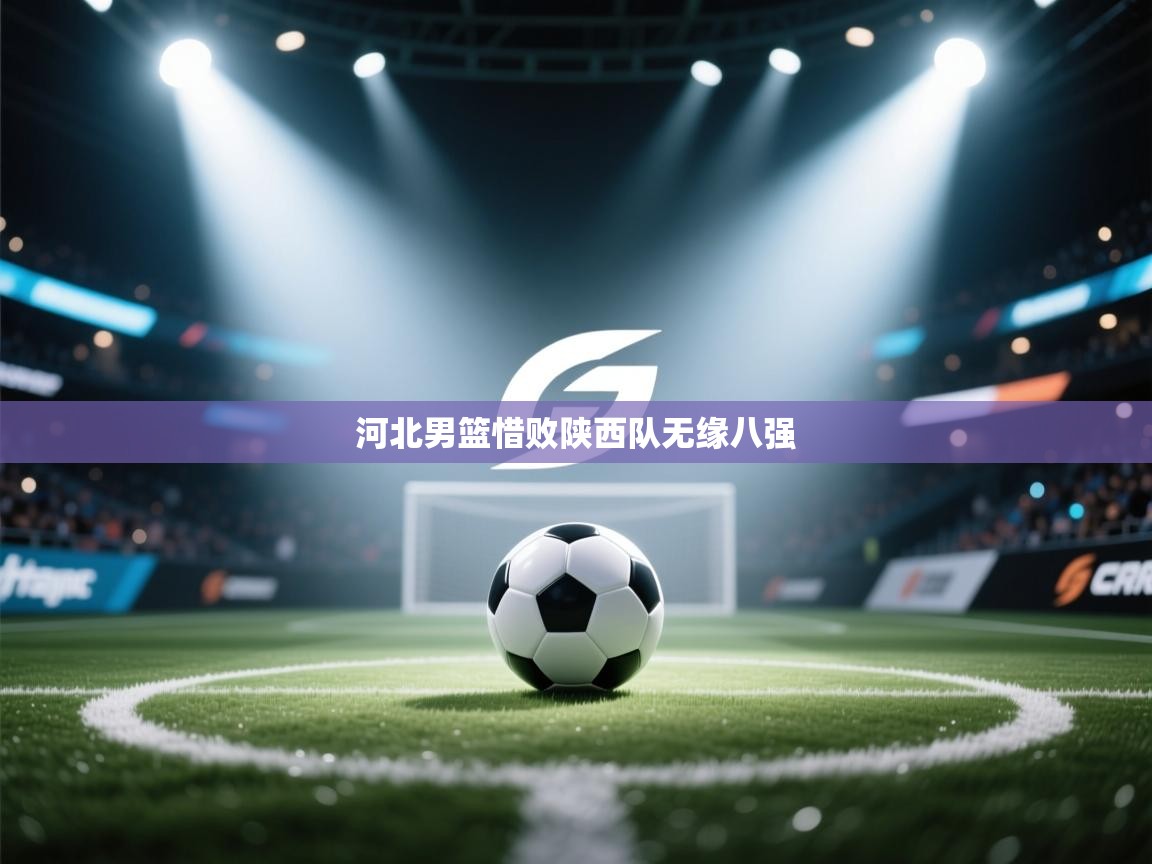 河北男篮惜败陕西队无缘八强