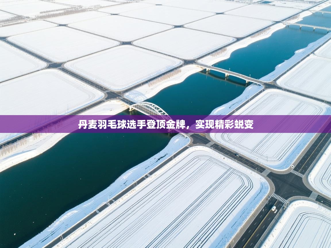 丹麦羽毛球选手登顶金牌，实现精彩蜕变  第1张