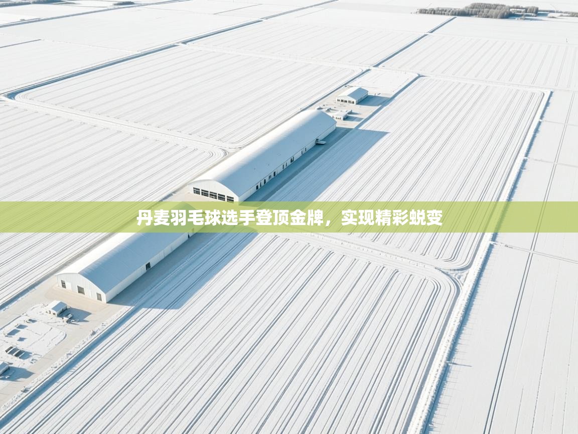 丹麦羽毛球选手登顶金牌，实现精彩蜕变  第2张